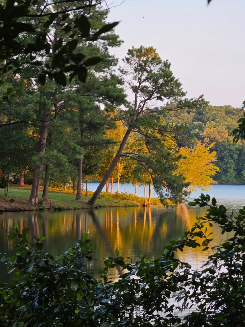 Natchez Trace State Park, Wildersville Natchez Trace State Park, Wildersville