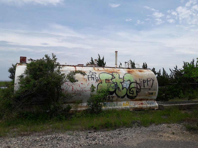 Nature Is Reclaiming the Site Where History Was Broadcast