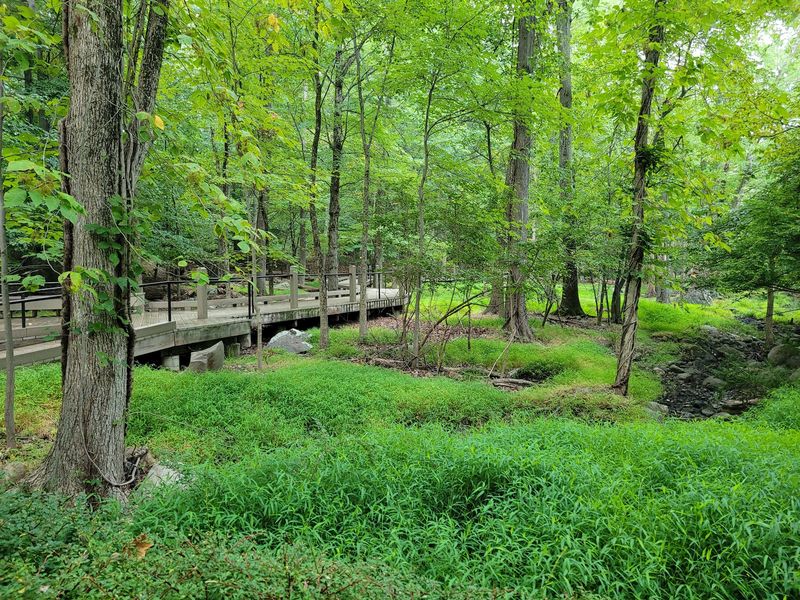Nature Trail at J.A. McFaul Environmental Center - Wyckoff
