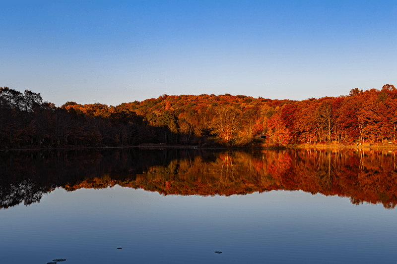 Nescopeck State Park Nescopeck State Park