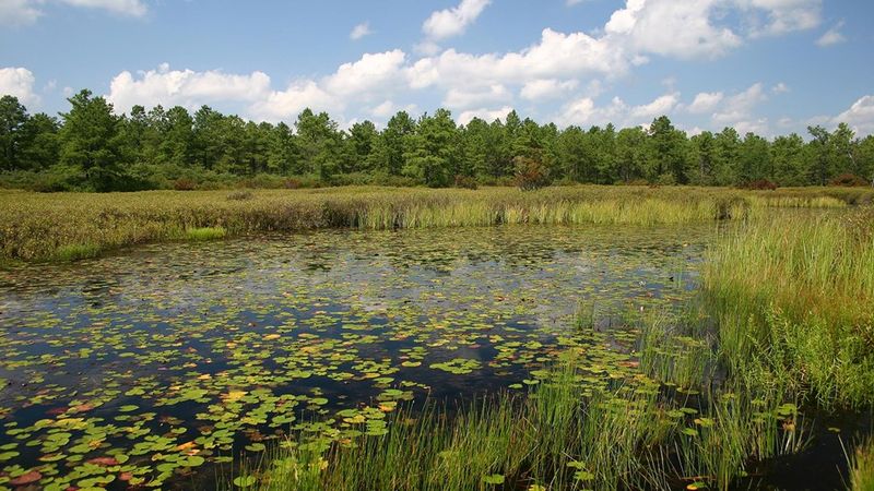 New Jersey Pinelands National Reserve