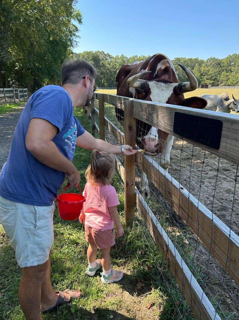 New Jersey's Freedom Farm Animal Rescue - Cedarville New Jersey's Freedom Farm Animal Rescue - Cedarville