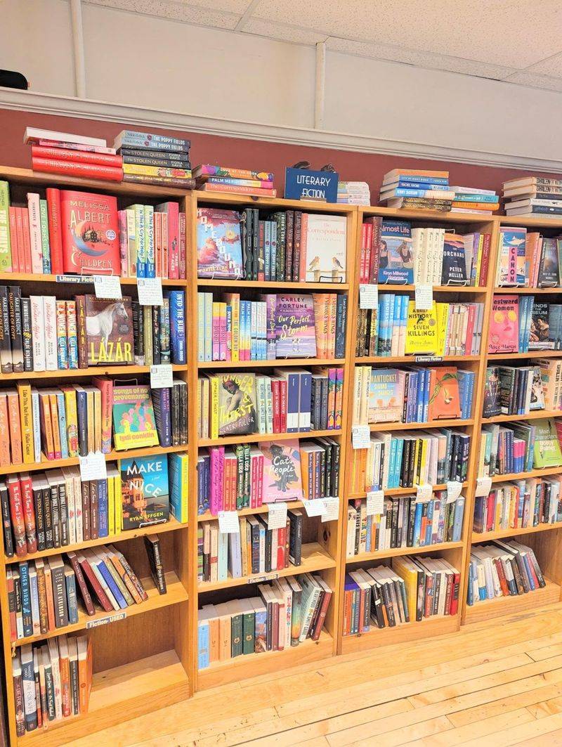 New and Used Shelves That Reward Curious Browsing