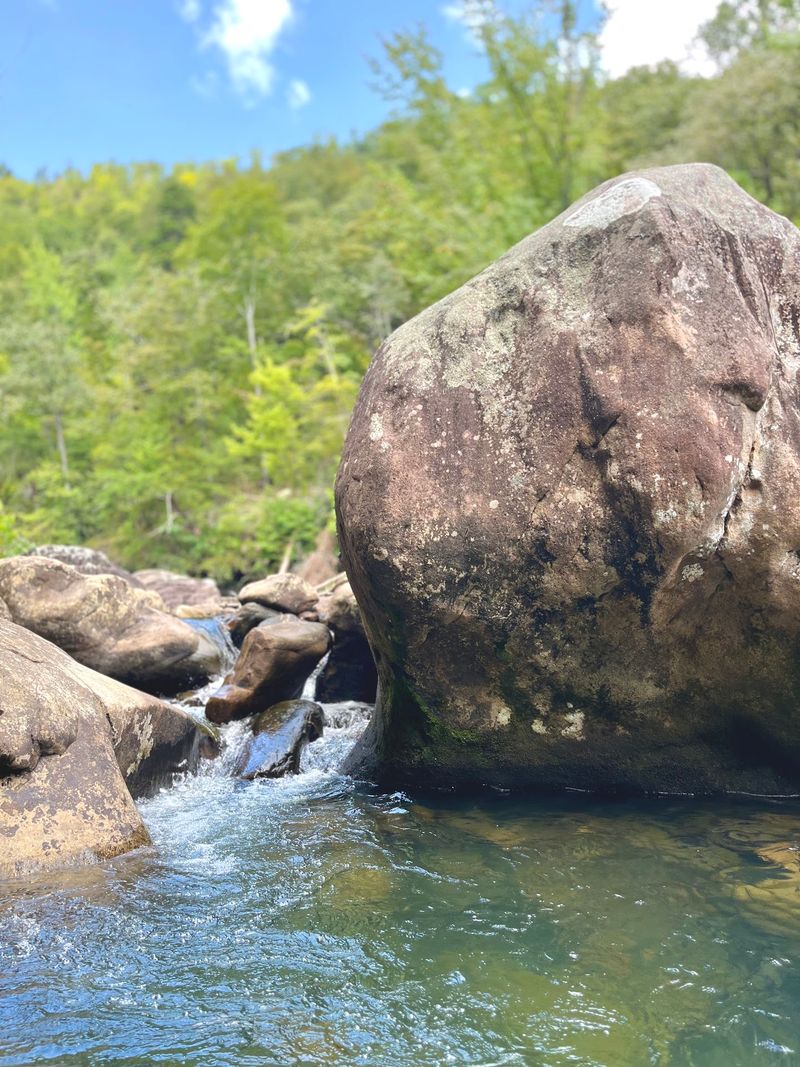 North Chickamauga Creek Gorge State Park North Chickamauga Creek Gorge State Park