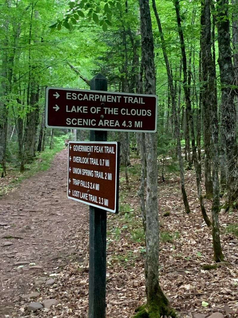 Not a Casual Walk, and That Is the Point