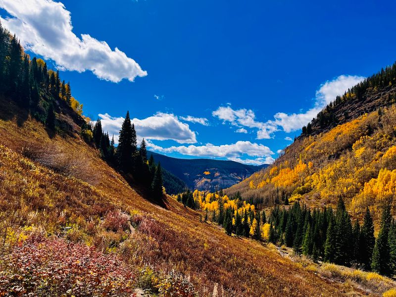 Colorado Color Along the Way