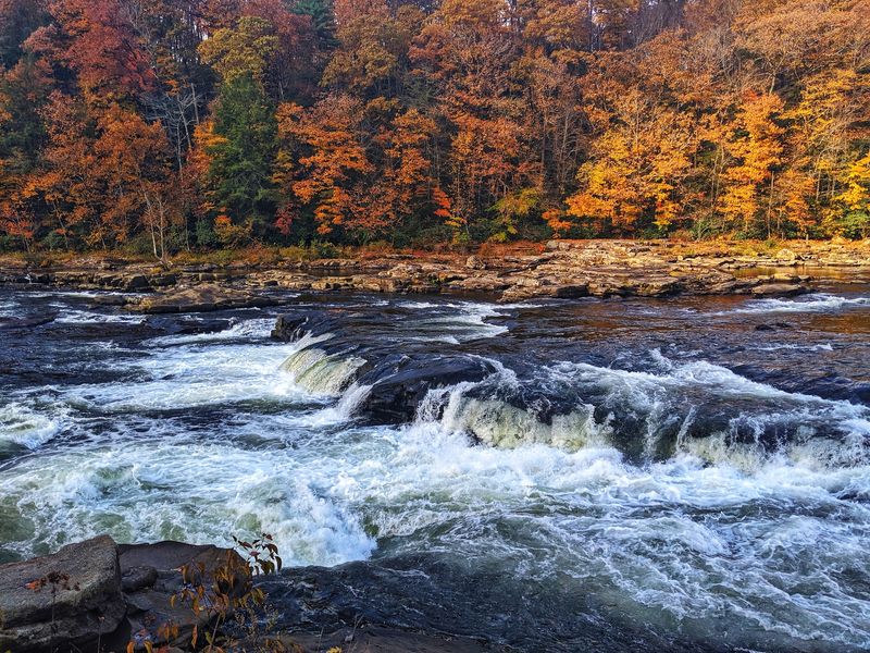 Ohiopyle Falls Observation Deck