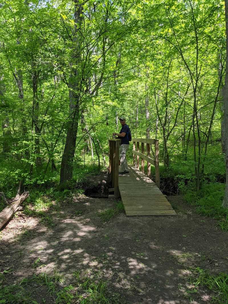 Old Rail Grades, Forest Paths, and Footbridges Old Rail Grades, Forest Paths, and Footbridges