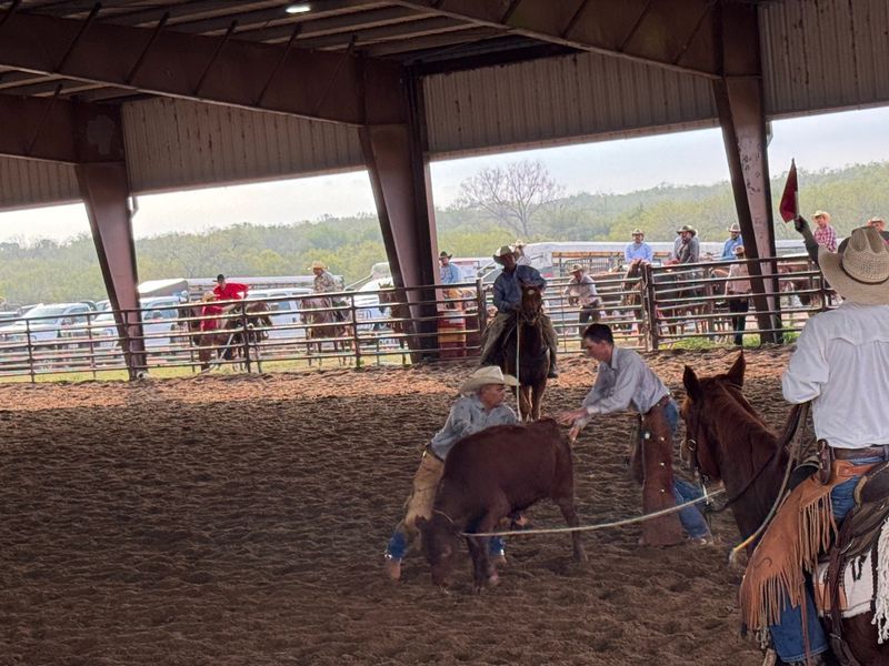 Operating Ranch Tours With Real Working Cowboys
