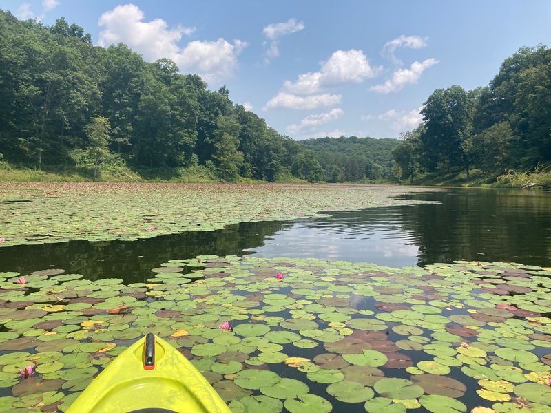 Paddling Made Easy for First Timers Paddling Made Easy for First Timers