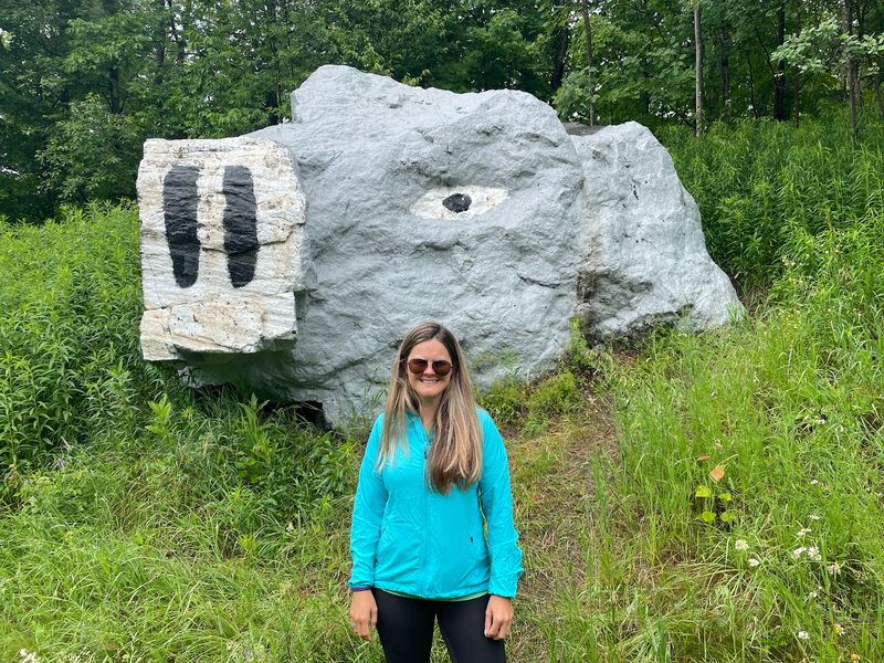 Painted Pig Rock - Speculator