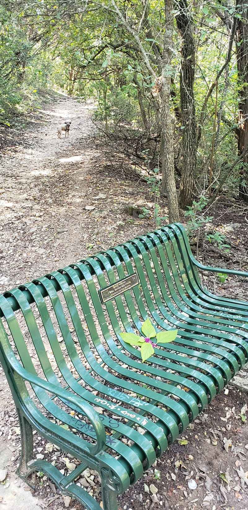 Parking and Access Considerations
