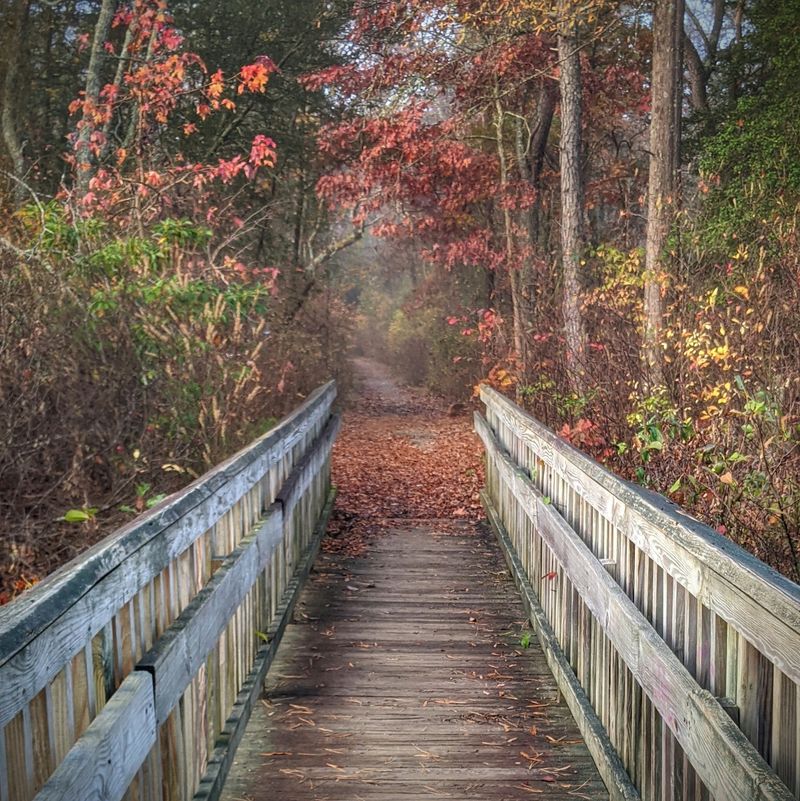 Parvin State Park - Pittsgrove