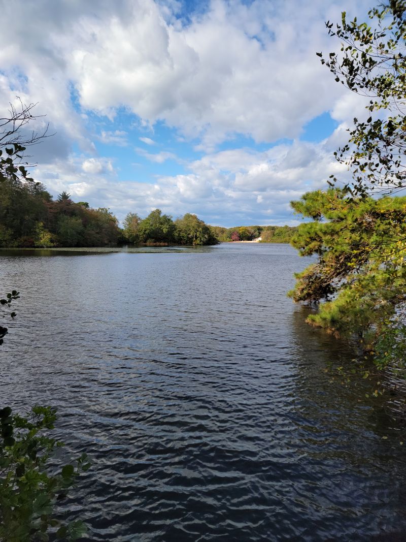Parvin State Park - Pittsgrove Parvin State Park - Pittsgrove