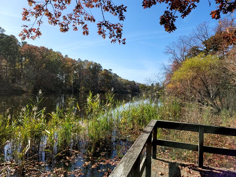 Parvin State Park - Pittsgrove