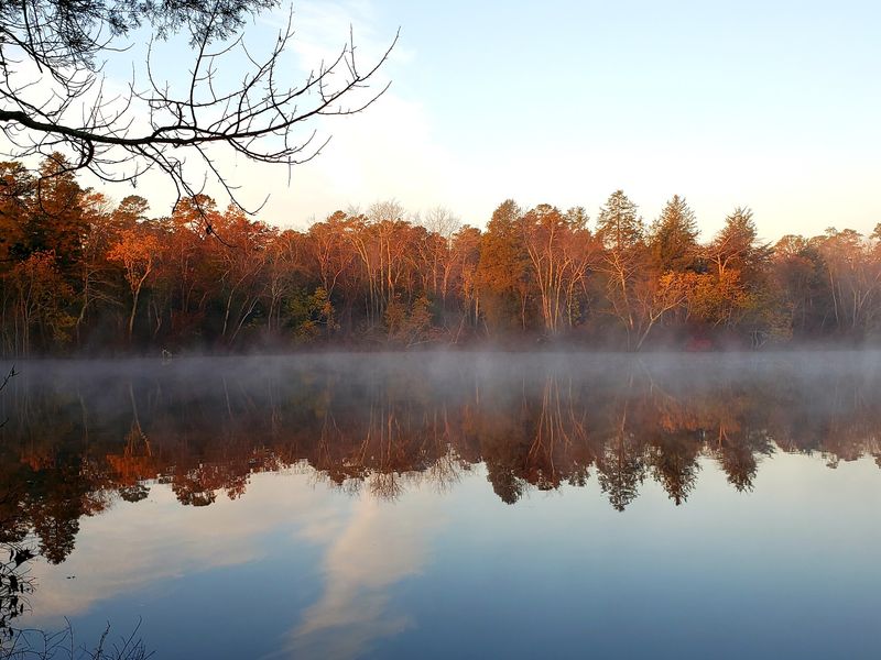 Parvin State Park Parvin State Park