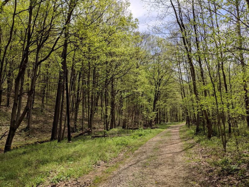 Paths That Keep You Moving With Confidence Paths That Keep You Moving With Confidence