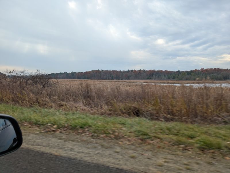 Pentwater State Game Area - Oceana County Pentwater State Game Area - Oceana County