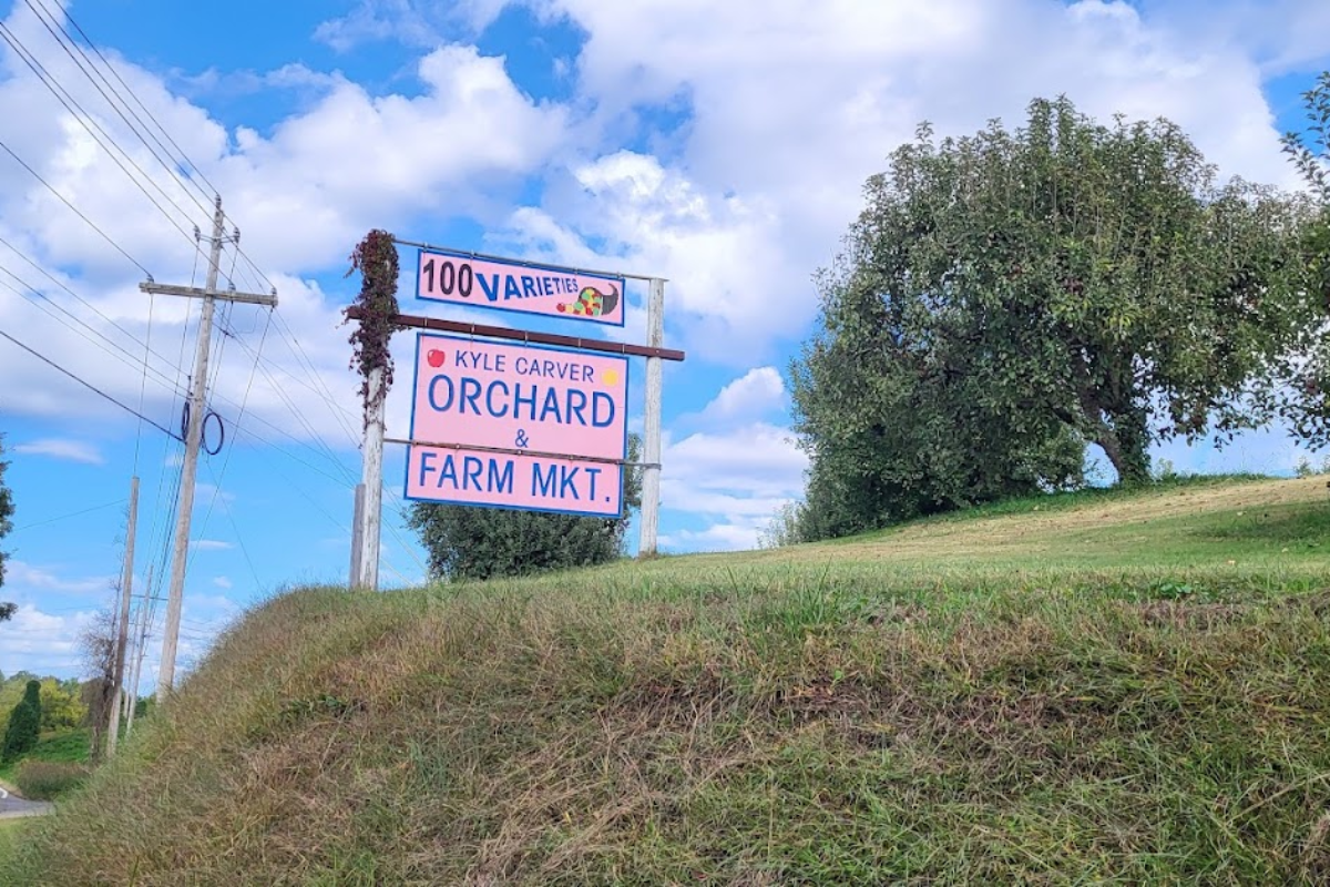 People Drive to This Century-Old Tennessee Orchard Just for the Fried Pies