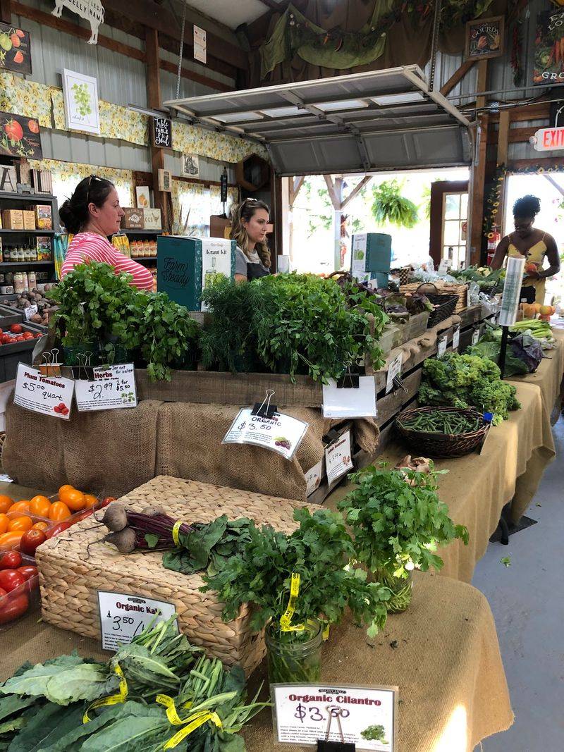 Pick Fresh Produce and Take On the Fall Attractions Pick Fresh Produce and Take On the Fall Attractions