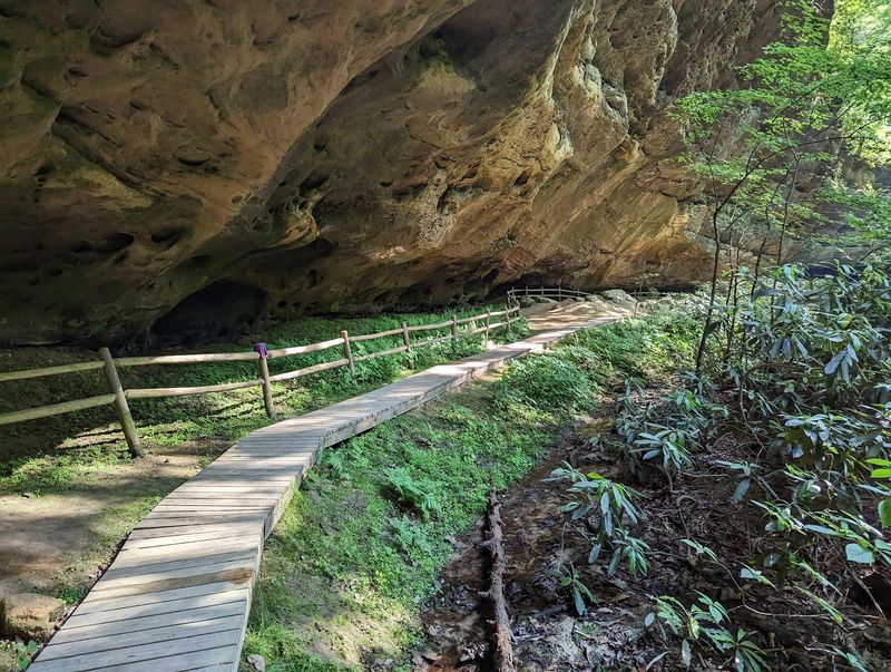 Pickett CCC Memorial State Park, Jamestown