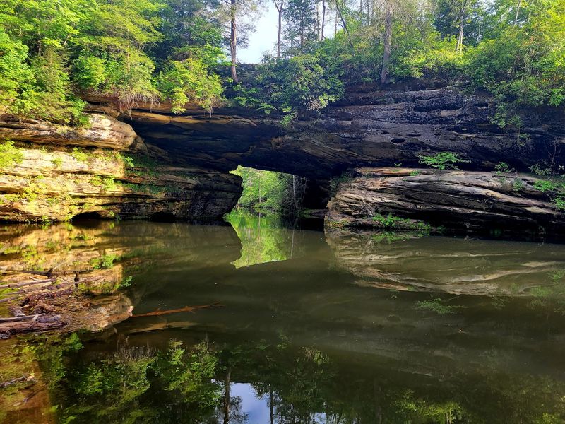 Pickett CCC Memorial State Park - Jamestown