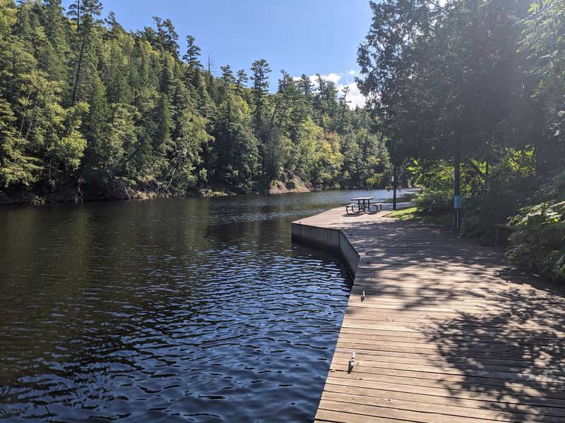 Picnic Grounds, Boardwalks, and a Softer Side of the Harbor