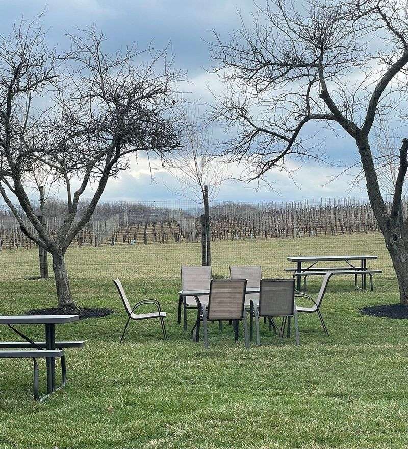 Picnic Spots With Vineyard Views Picnic Spots With Vineyard Views
