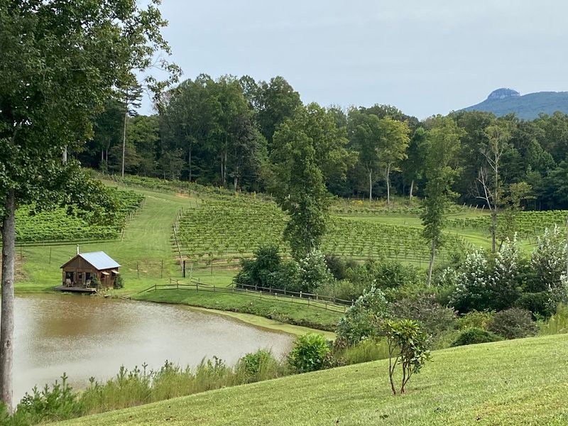 Pilot Mountain Views That Steal the Show Pilot Mountain Views That Steal the Show