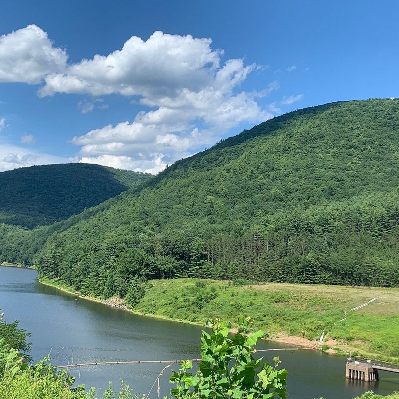 Pine Creek Gorge