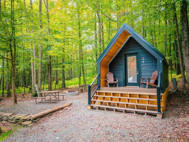 Pine Creek Gorge Cabins - Wellsboro
