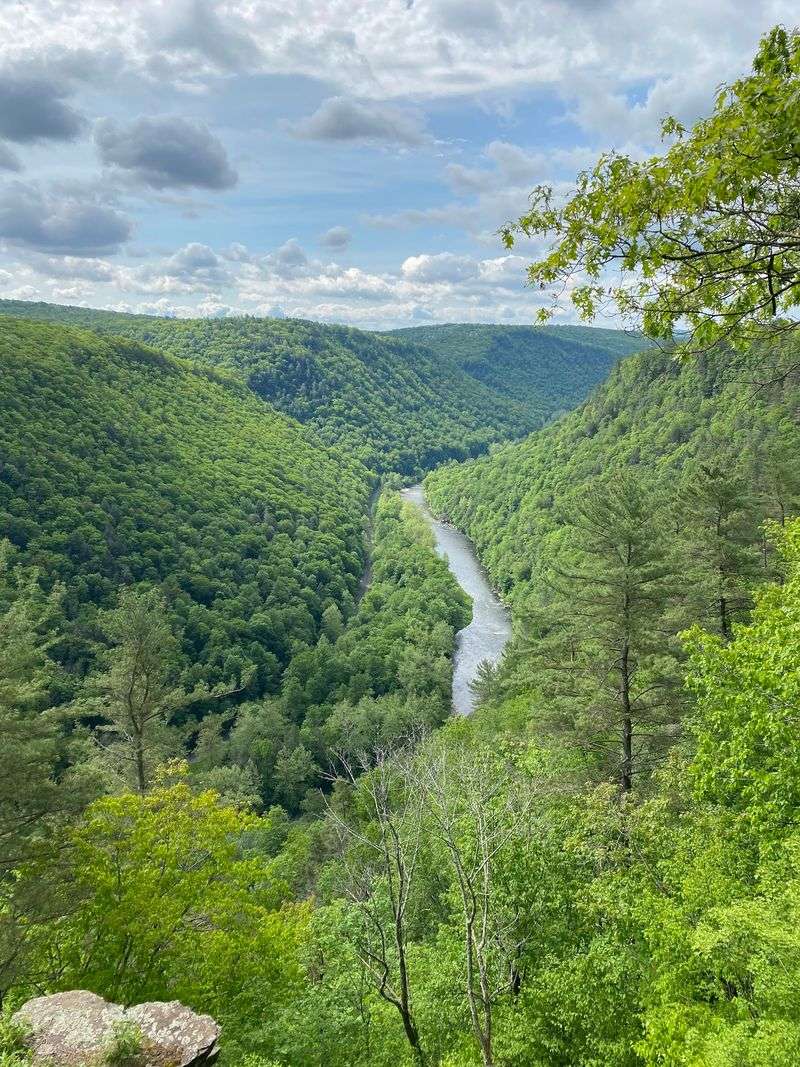 Pine Creek Gorge (Watson Township) Pine Creek Gorge (Watson Township)