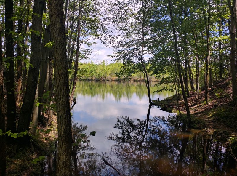 Plainsboro Preserve - Plainsboro Plainsboro Preserve - Plainsboro