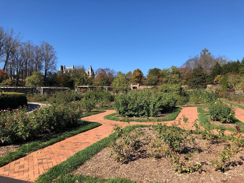 Plan A Comfortable Garden Visit Plan A Comfortable Garden Visit