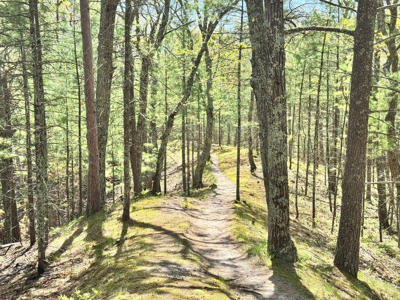 Platte Plains Trail System - Benzie County Platte Plains Trail System - Benzie County