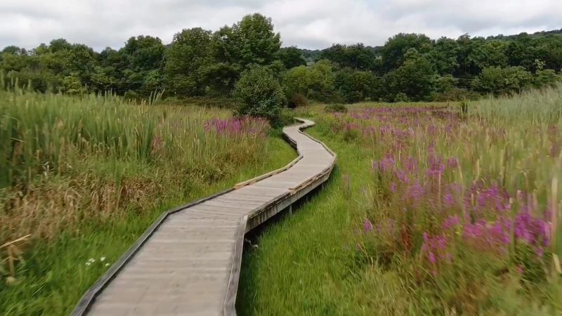 Pochuck Boardwalk on the Appalachian Trail - Vernon
