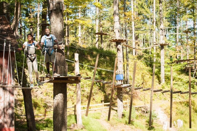 Pocono TreeVentures Pocono TreeVentures