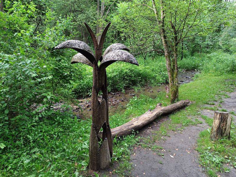 Ponds And Forest Corners Made For Quiet Moments Ponds And Forest Corners Made For Quiet Moments