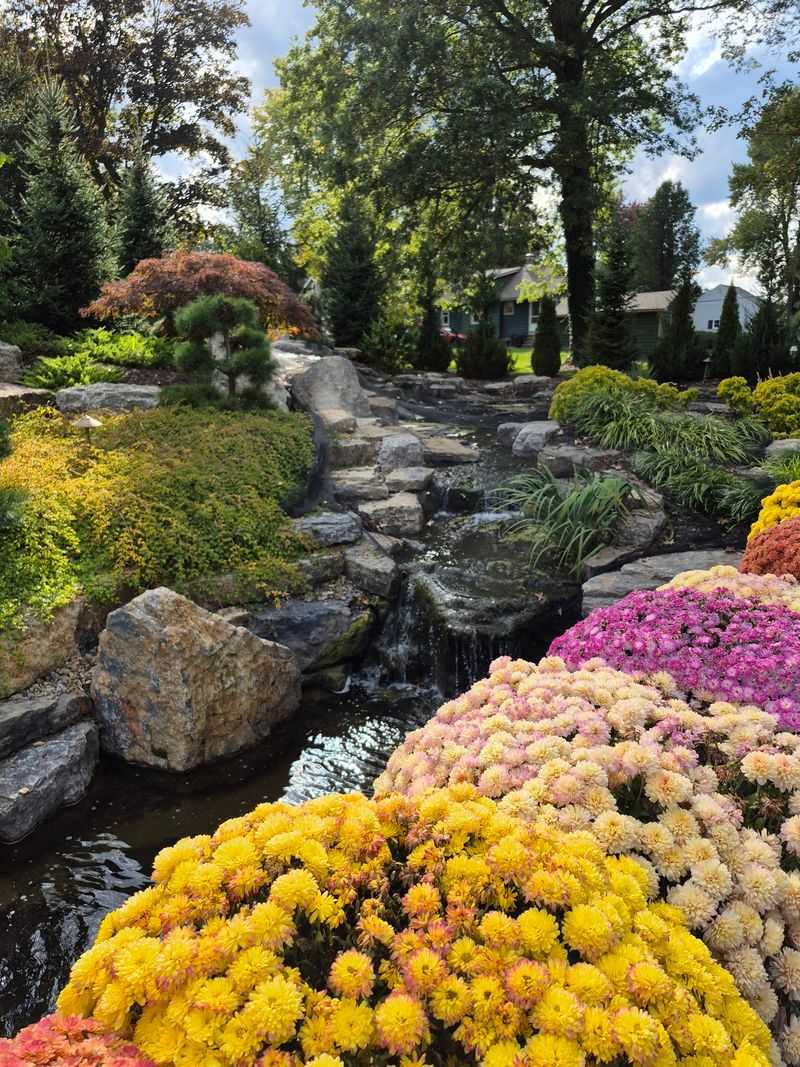 Ponds and water features that bring calm