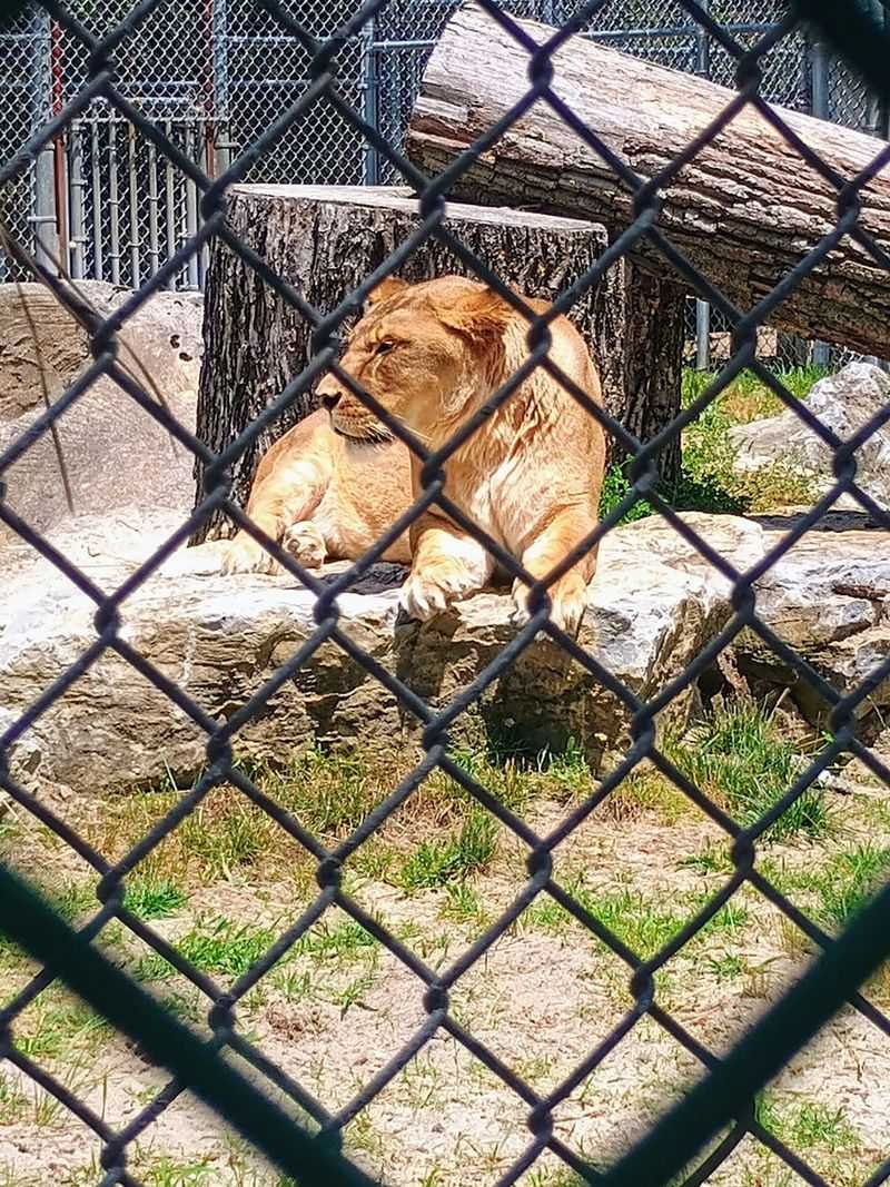 Popcorn Park Animal Refuge - Forked River