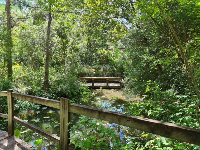Practical Tips for a Better Garden Stroll Practical Tips for a Better Garden Stroll