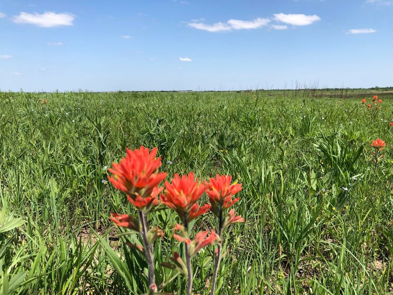 Prairie State Park (Mindenmines)