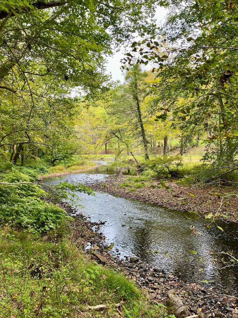 Preserved Fields and Woodlands Make the Estate Feel Worlds Away Preserved Fields and Woodlands Make the Estate Feel Worlds Away