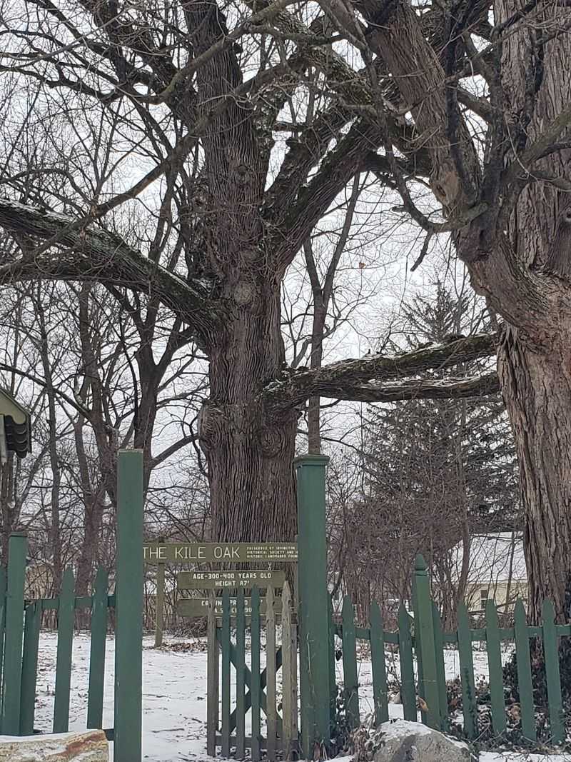 The Tree Changes With the Season The Tree Changes With the Season