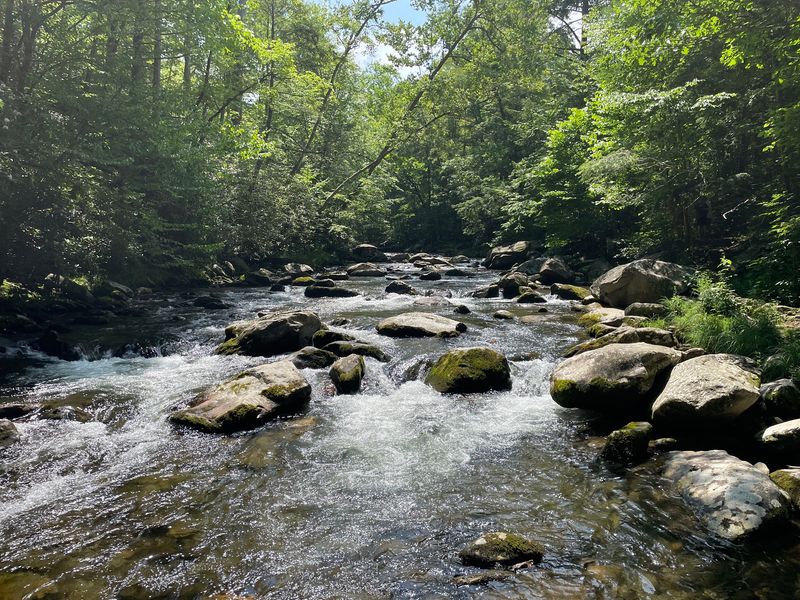 Little River Trail