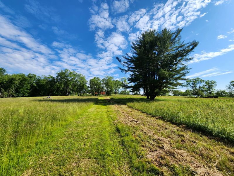 Quiet Fields Before the Oil Rush