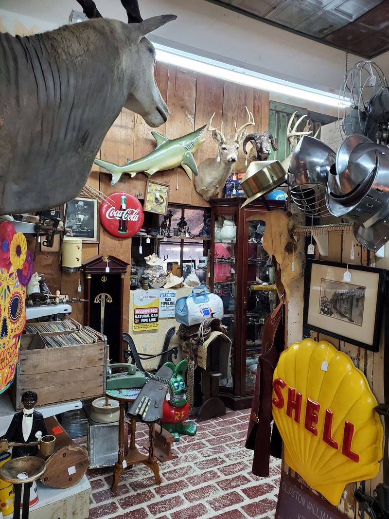 Quirky Collectibles You Didn't Know You Needed