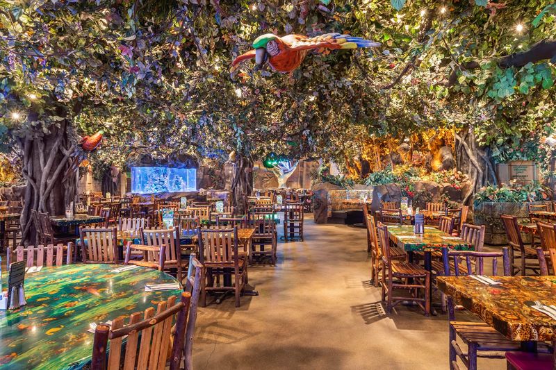 Rainforest Cafe (Galveston) Rainforest Cafe (Galveston)
