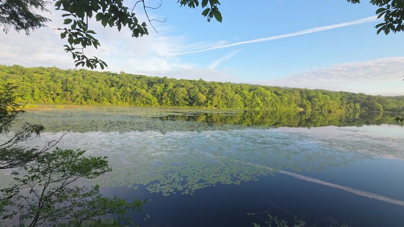 Ramapo Lake Loop Trail - Ramapo Mountain State Forest Ramapo Lake Loop Trail - Ramapo Mountain State Forest