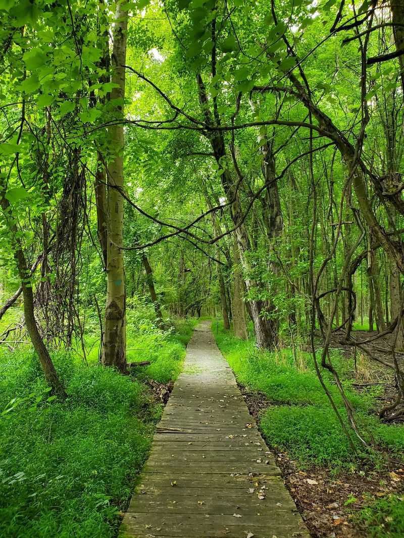 Rancocas Nature Center - Westampton Rancocas Nature Center - Westampton
